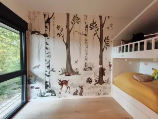 Pintor económico Guadalajara