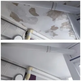 Pintor económico Guadalajara