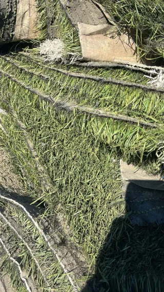 Césped reciclado alta calidad