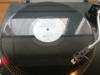 Vinilo Rex The Dog - maximize