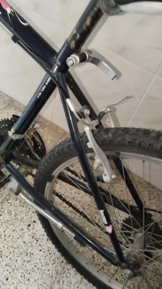 Bicicleta de montaña