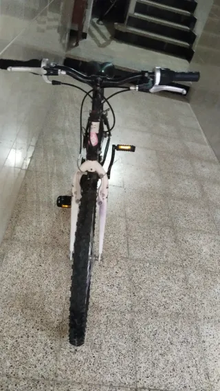 Bicicleta de montaña