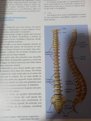 GUIA MEDICA FAMILIAR (10 VOLS.)