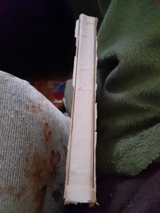 Libro juvenil titulado , Un camping para nosotros