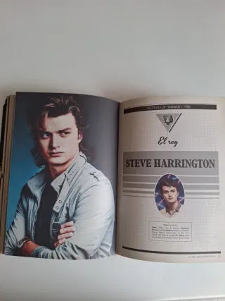 Libros Stranger Things