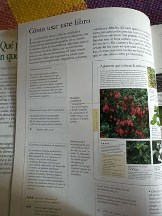 Qué Planta, en Qué Lugar