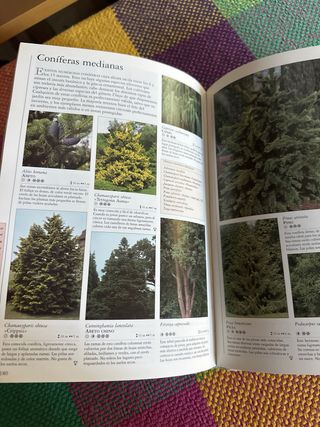 Qué Planta, en Qué Lugar