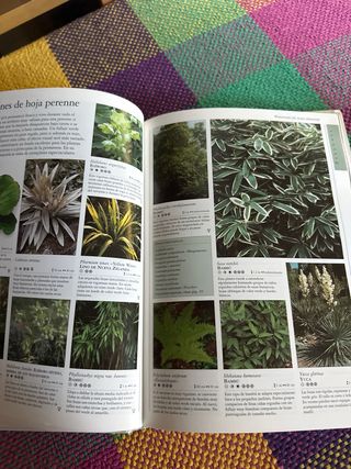 Qué Planta, en Qué Lugar