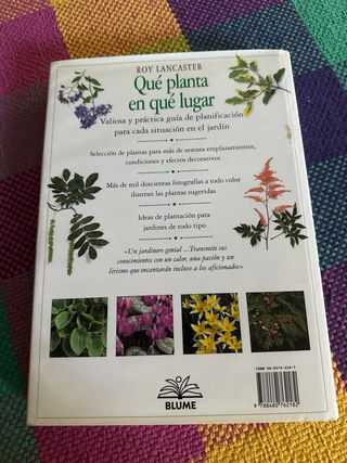 Qué Planta, en Qué Lugar