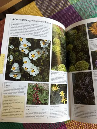 Qué Planta, en Qué Lugar