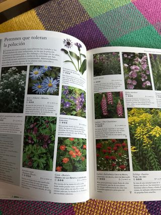 Qué Planta, en Qué Lugar