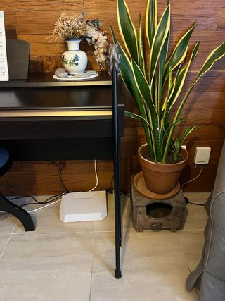 Bastón con empuñadura Cthulhu