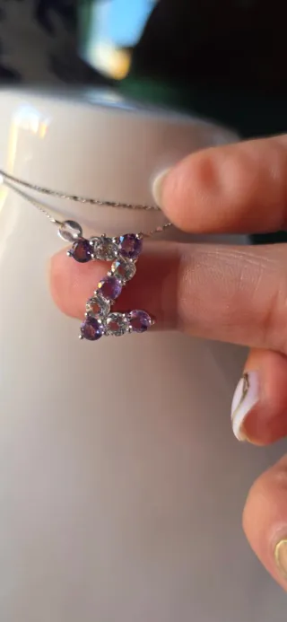 Collar Plata Inicial Z