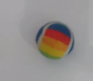 Ciotola per cani in ceramica