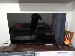 Televisión Negra y Multicolor