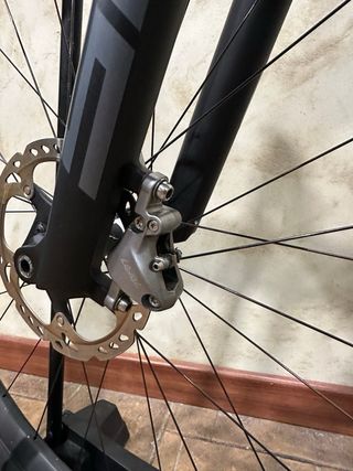 Specialized Worldcup Expert 2024