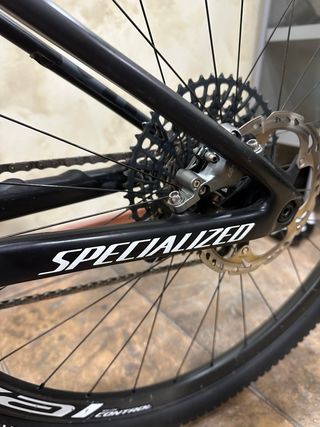 Specialized Worldcup Expert 2024