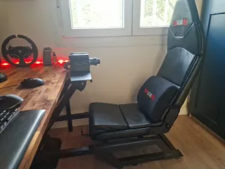 Next Level Racing FGT