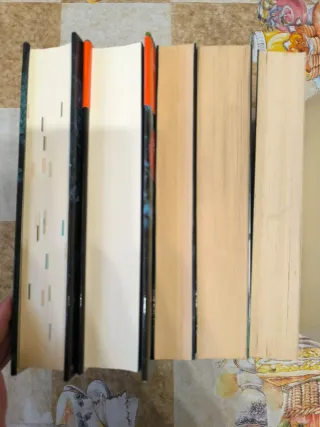 Lote de 5 libros de Dolores Redondo, uno firmado!