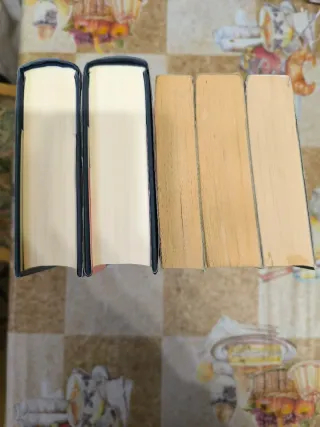 Lote de 5 libros de Dolores Redondo, uno firmado!