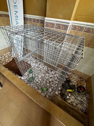 Jaula grande y fuerte