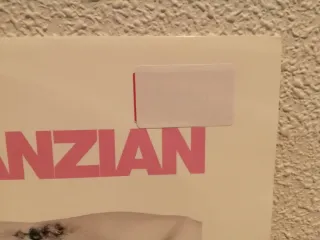 Vinilo Adriano Canzian (Gigolo)