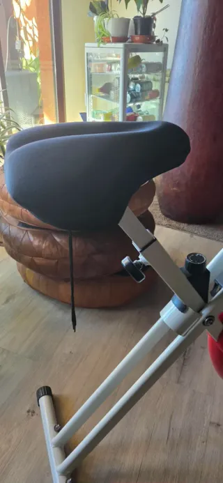 Bicicleta Estática Plegable