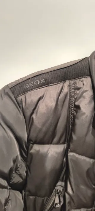 Chaqueta Geox Marrón Mujer