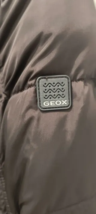 Chaqueta Geox Marrón Mujer