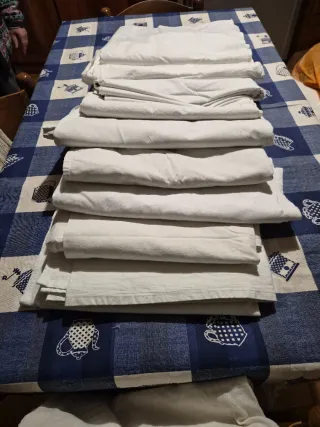 Lotto n.12 Lenzuola singolo 1.55/60 ×2.60