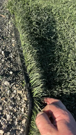 Césped reciclado campo fútbol