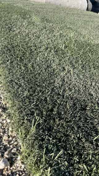 Césped reciclado campo fútbol