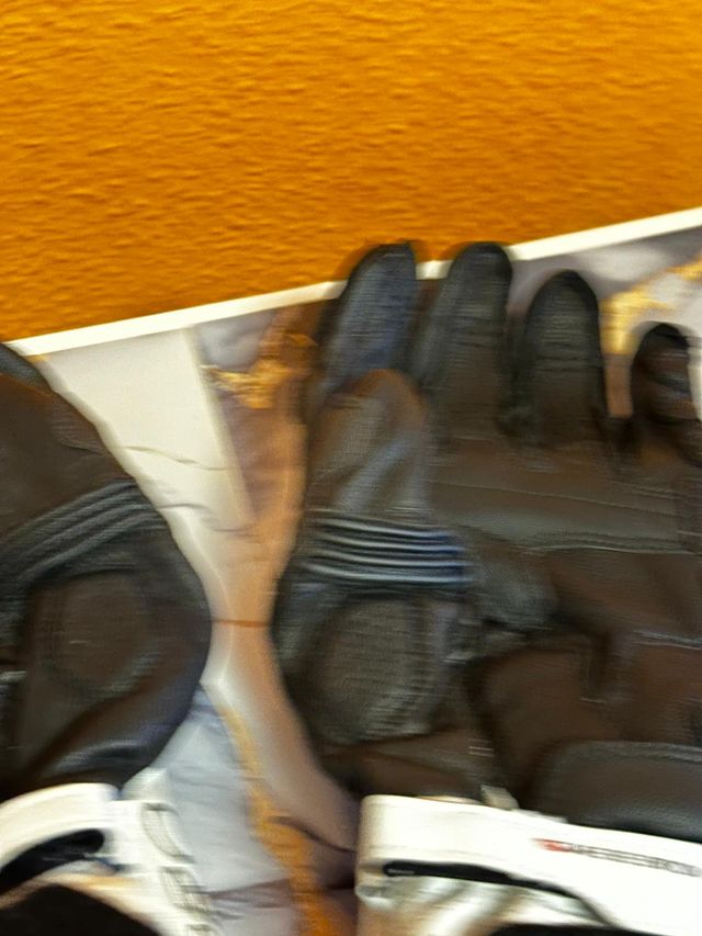 Alpinestars GP Pro R4 Blancos