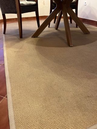 Tappeto in fibre naturali Iuta/Sisal 300x200