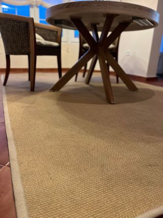 Tappeto in fibre naturali Iuta/Sisal 300x200