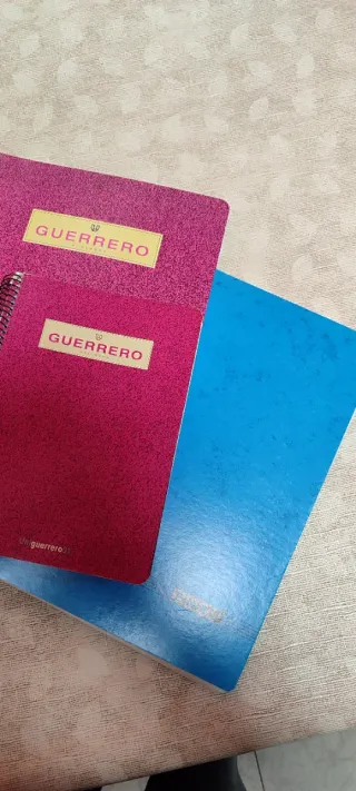 6 Libretas Espiral Variadas