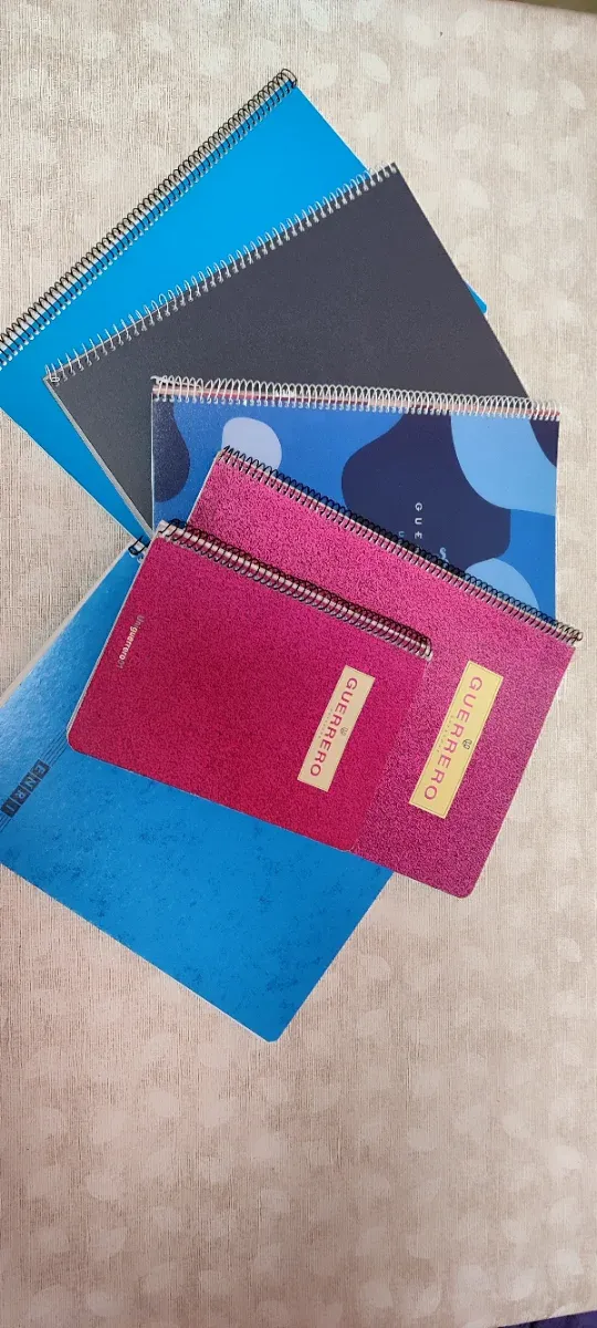 6 Libretas Espiral Variadas