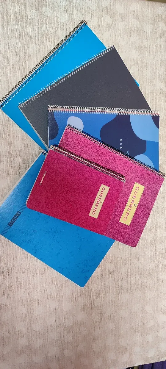 6 Libretas Espiral Variadas