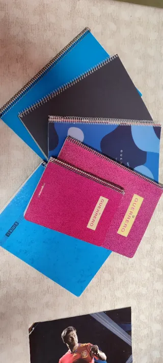 6 Libretas Espiral Variadas