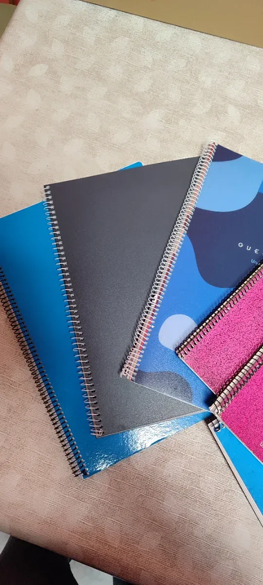 6 Libretas Espiral Variadas