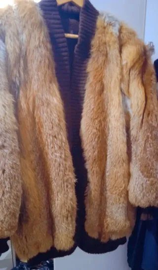 Chaqueta de zorro moderna