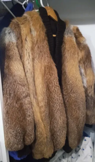 Chaqueta de zorro moderna