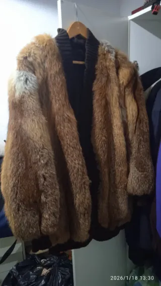 Chaqueta de zorro moderna