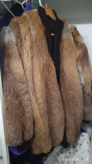 Chaqueta de zorro moderna