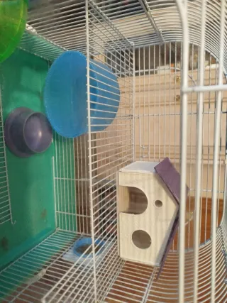 Jaula para hámster con accesorios