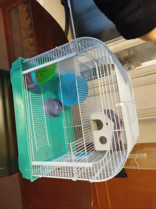 Jaula para hámster con accesorios