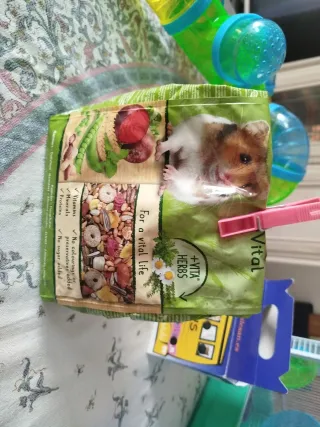 Jaula para hámster con accesorios