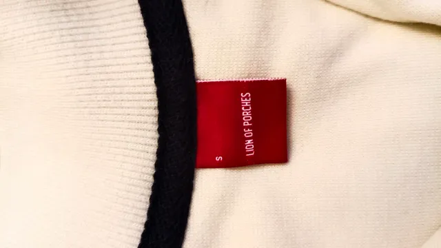 Sudadera Lion of Porches