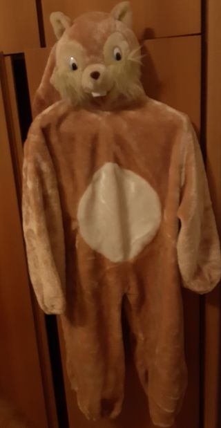 Costume Carnevale Scoiattolo Bambino