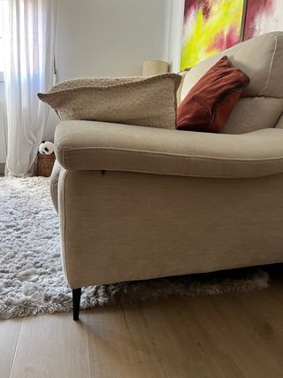 Alfombra beige pelo largo 290x200cm